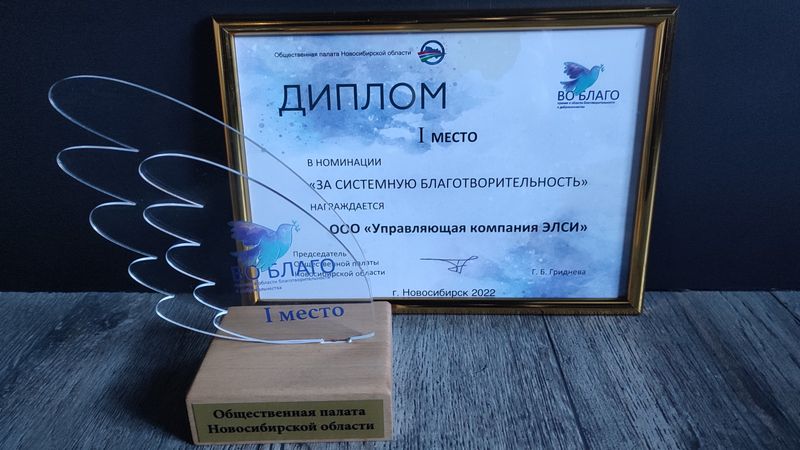 ЭЛСИ отмечена почетной наградой за системную благотворительность в Новосибирской области